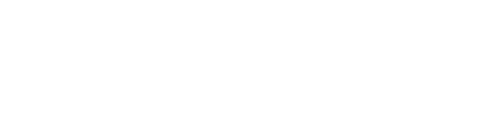 Swiss Express Couriers